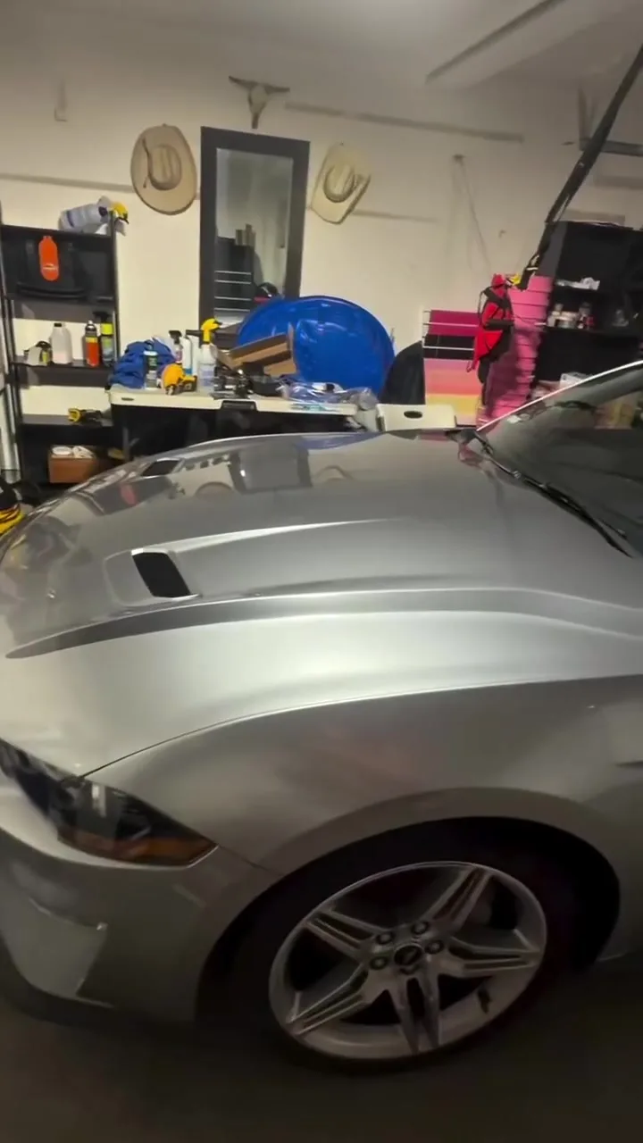 Mustang side view after paint correction